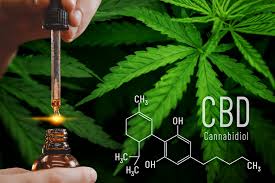 CBD Questions answered!