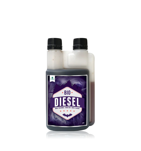 BIO DIESEL